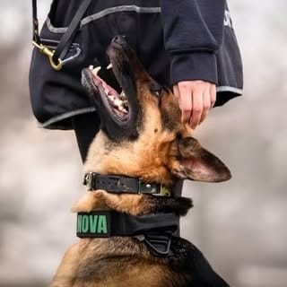 Nova | Lilly, Lifestyle influencer in Columbus