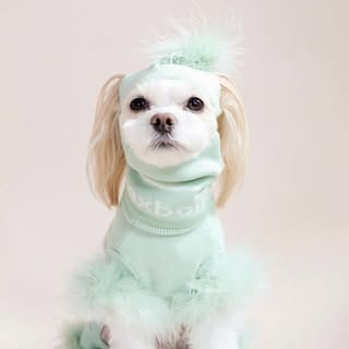 Emma + Eugenio + Mar | fur babies + dogmom, Dogs influencer in Austin