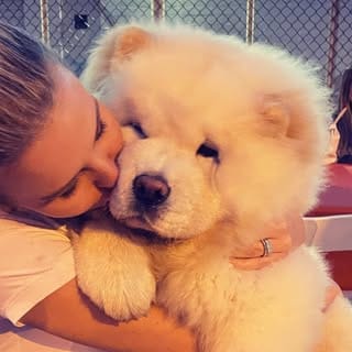 Cambridge, Dogs influencer in New York