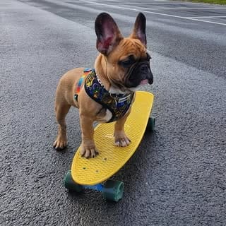 Léon, Modelling & Talent influencer in Bristol