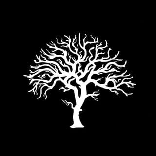 Descendant Detroit Style Pizza, Food & Beverage Retail influencer in Canada