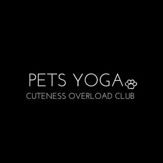 Pets Yoga 🐾, Dogs influencer in London