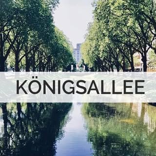 KÖNIGSALLEE Düsseldorf, eCommerce/DTC influencer in Düsseldorf
