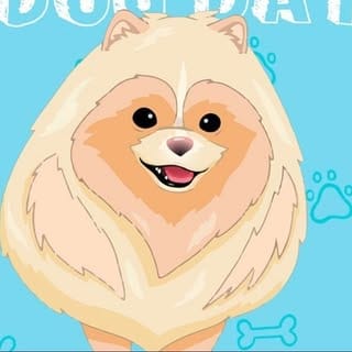 Bear Supreme | Designer Pet Clothes , Toys & Accessories, Dogs influencer in Dubai