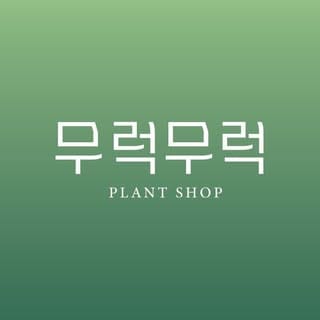 무럭무럭 MULUCK MULUCK, Retail & Specialty Stores influencer in Daegu