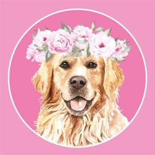 Luluki donuts🐶🌸, Food & Beverage Retail influencer in Cyprus