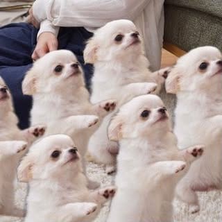 Top Influencer