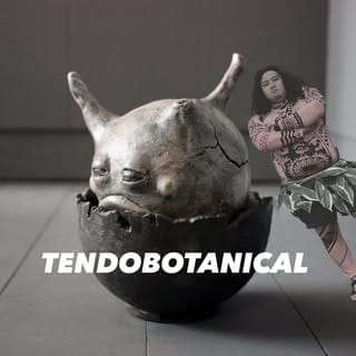 Top Influencer