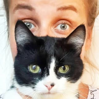Cats and Meeples, Gaming & Esports influencer in Estonia