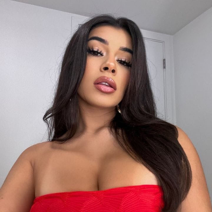 Anisa Santiago, SaaS/B2B influencer in USA