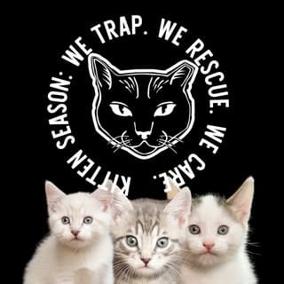 Alley Cat Project, Pets influencer in Seattle