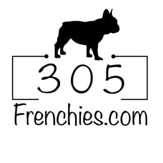 305 Frenchies.com , LLC., Pets influencer in Miami
