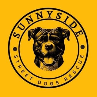 Sunnyside Street Dog Rescue, Dogs influencer in Houston