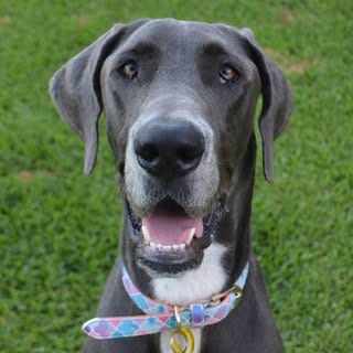Crazy DAISY Dane🌼, Finance influencer in Gold Coast