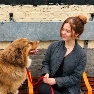 Sasha Alsberg, Pets influencer in London