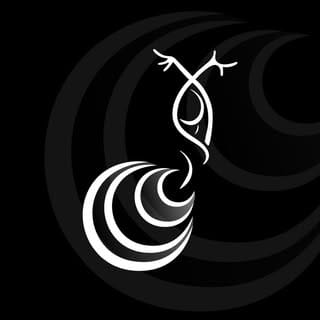 Flamenco-Furia Flamenca, Dance influencer in Miami