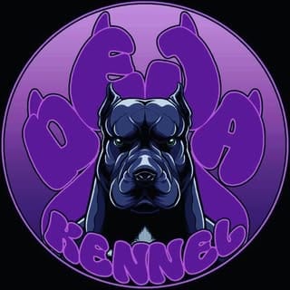 deja_kennel, Pets influencer in Dallas