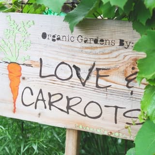 Love & Carrots, Home & Decor influencer in Washington D.C.