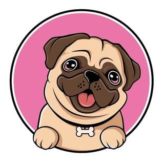 🅿🆄🅶 🅲🅻🆄🅱 🆃🅾🅳🅰🆈, Pets influencer in New York