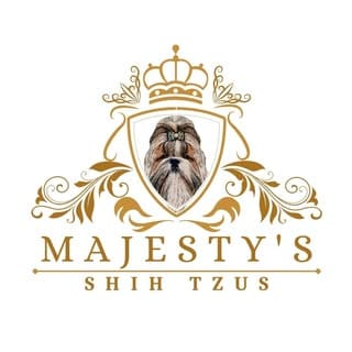 👑🐶Majesty’s Shih Tzus⭐️, Pets influencer in Boston