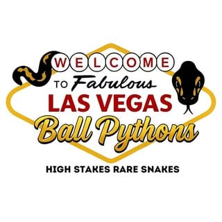 Las Vegas Ball Pythons | Hypo Desert Ghost Clown, Pets influencer in Las Vegas