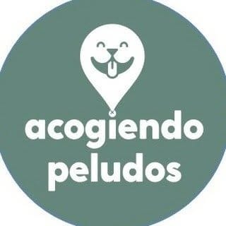 Acogiendo.Peludos, Pets influencer in Madrid