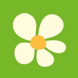 sauer_dancas, Education & Career influencer in Brazil