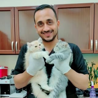 Top Influencer