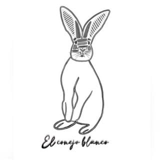 Conejo Blanco Café, Coffee & Cafes influencer in Mexico