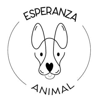 Esperanza Animal, Pets influencer in Mexico