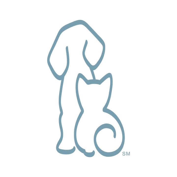 Humane Society Broward County, Pets influencer in USA