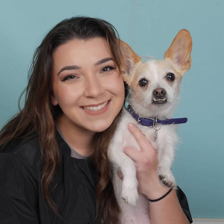 Cat the Dog Groomer 🐾, Pets influencer in USA