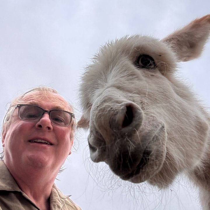 Caenhillcc rescue animals, Pets influencer in UK