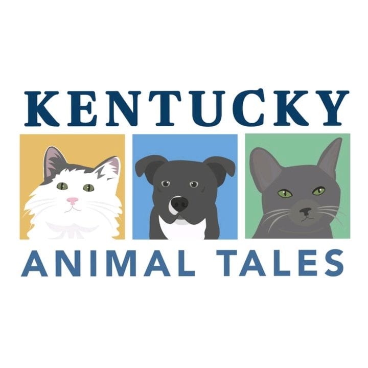 Kentucky Animal Tales, Pets influencer in UK