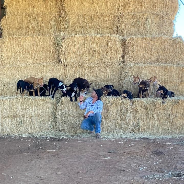 Ben Hart, Pets influencer in Australia
