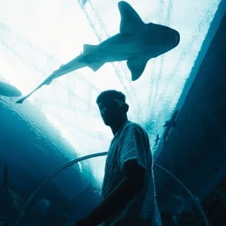 Priyansh M Jain | DOP | Photography and Travel Content Creator, Art & DIY influencer in Bhopal