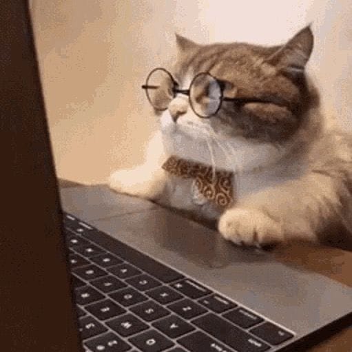katfromfinance, Finance influencer in France