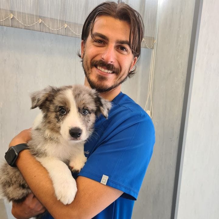 Dott. Leonardo Amato, Pets influencer in Mexico
