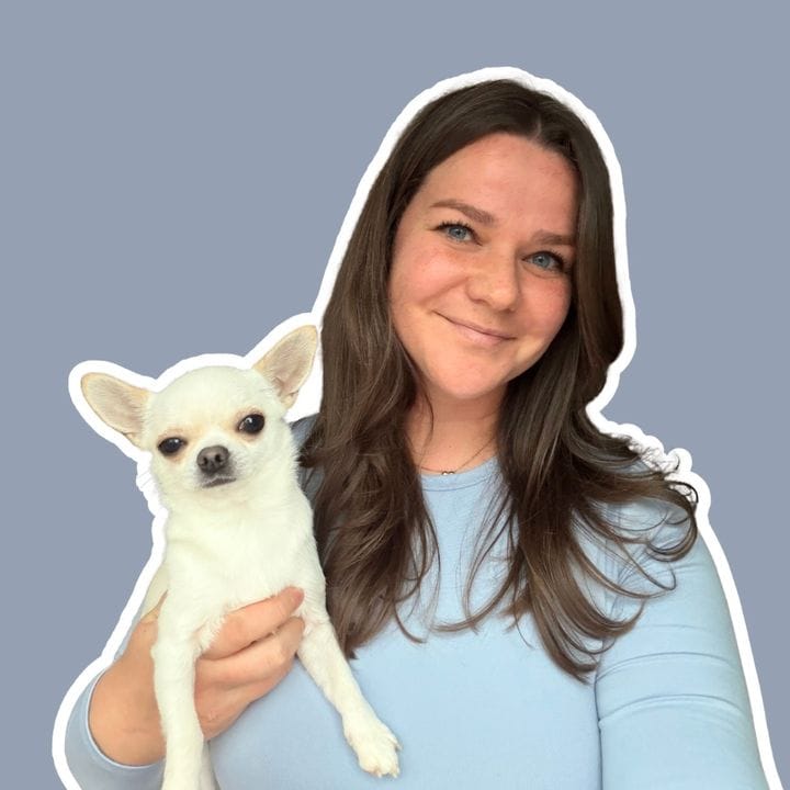 🐶 Trainer, Pets influencer in Mexico
