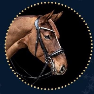 Madalyonllc, Pets influencer in France