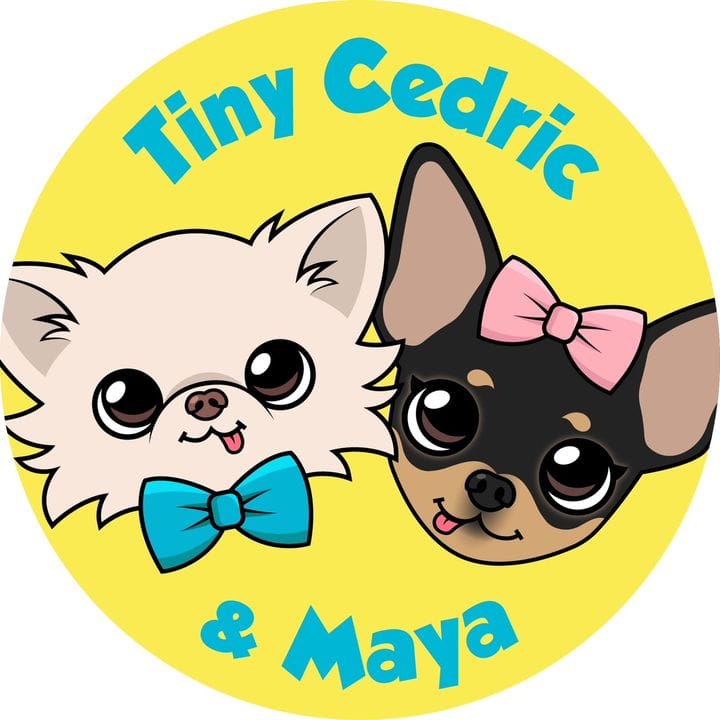 Tiny Chihuahua Cedric & Maya, eCommerce/DTC influencer in Mexico