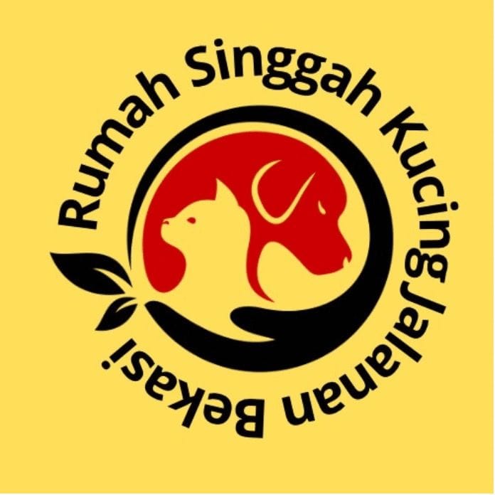 Rumah Singgah Kucing Jalanan, Music & Artists influencer in South Korea