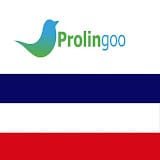 Prolingoo Dutch, Art & DIY influencer in Netherlands