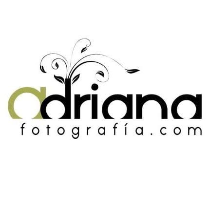 Top Influencer