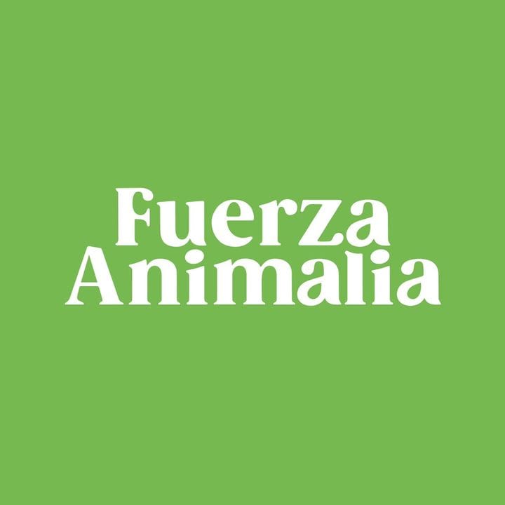 Top Influencer