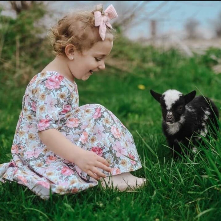 Post 6 by Little Lady Harrowden on Instagram (image)