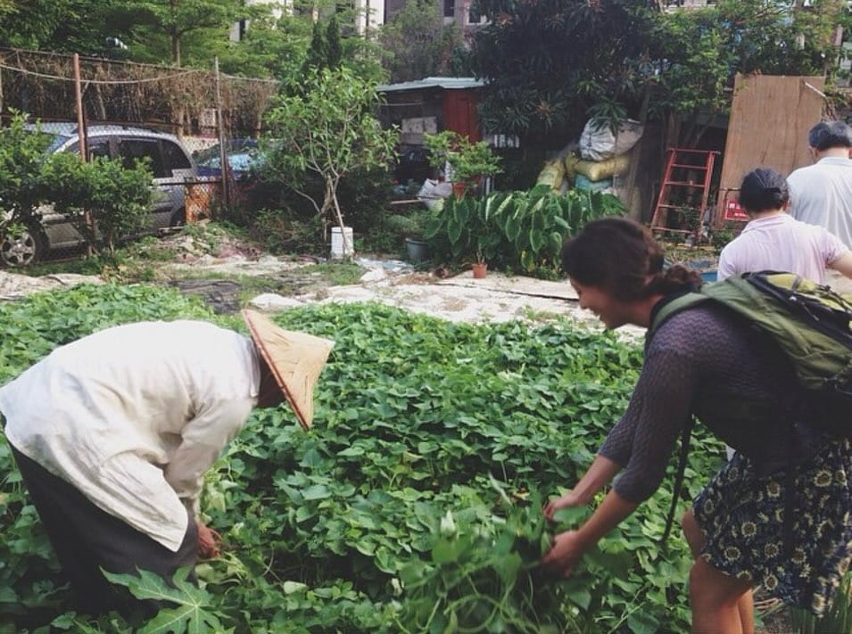 Post 11 by Cultural Roots Nursery on Instagram (carousel)
