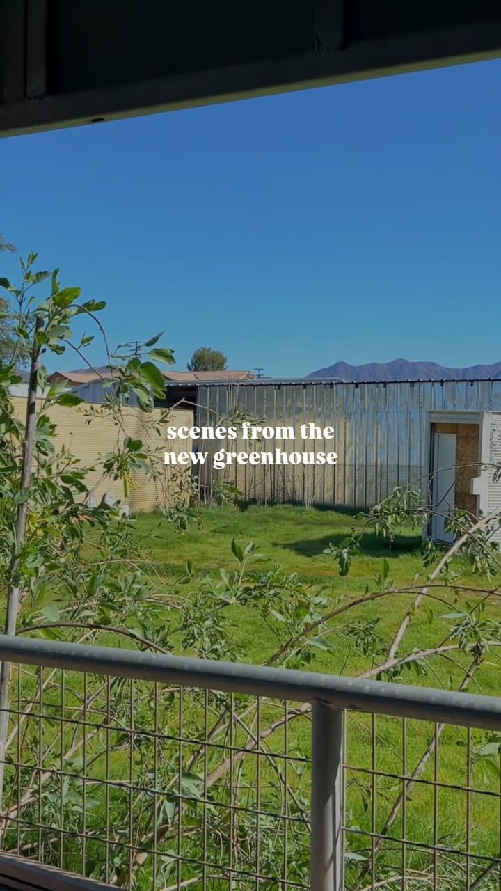 Post 10 by Cultural Roots Nursery on Instagram (video)
