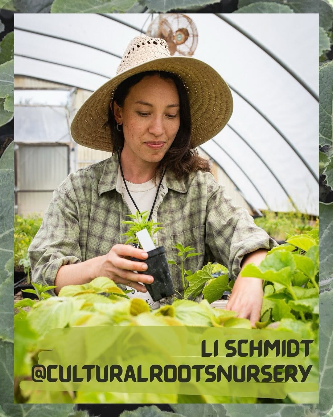 Post 2 by Cultural Roots Nursery on Instagram (carousel)