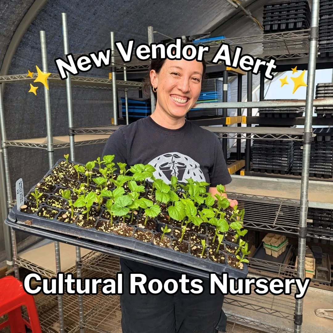Post 8 by Cultural Roots Nursery on Instagram (carousel)